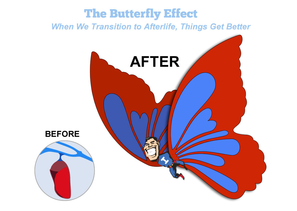 end of life - emerging as a butterfly